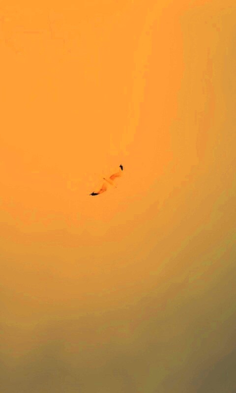 Полет  обои