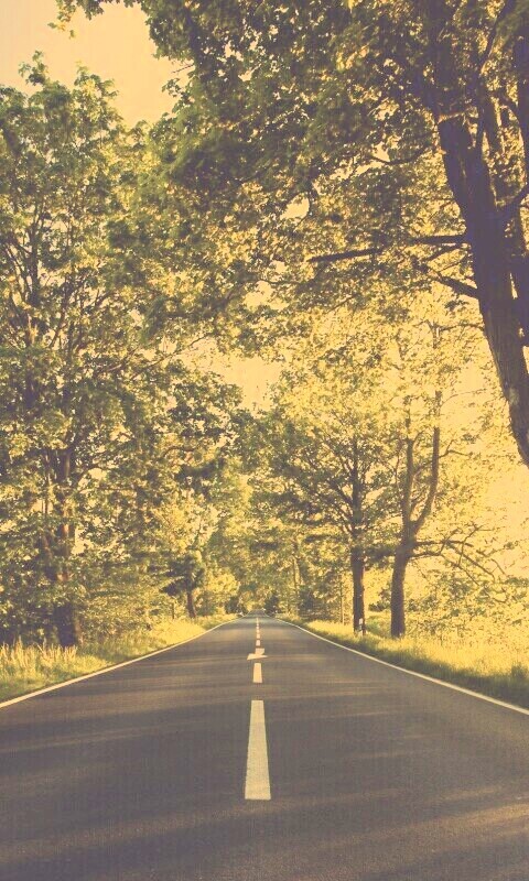 Прямая дорога обои