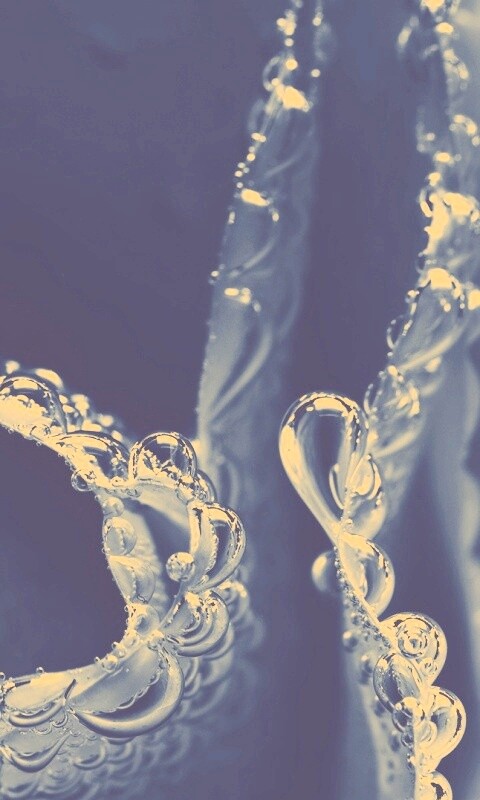 Капельки росы на синих лепестках обои