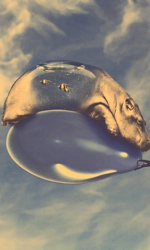 Водяной гиппопотам на шарике обои