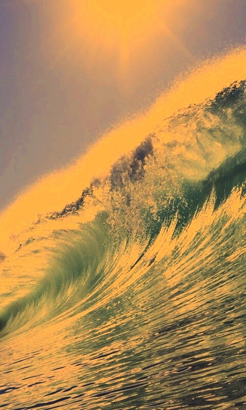 Волна — мечта серфера обои