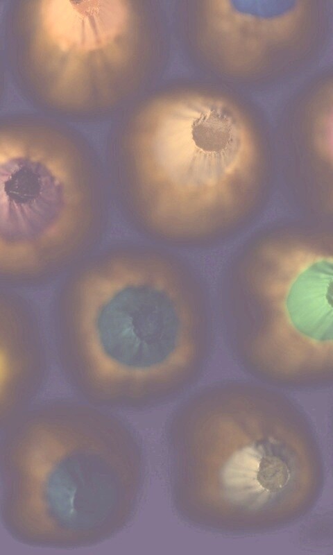 Карандаши обои