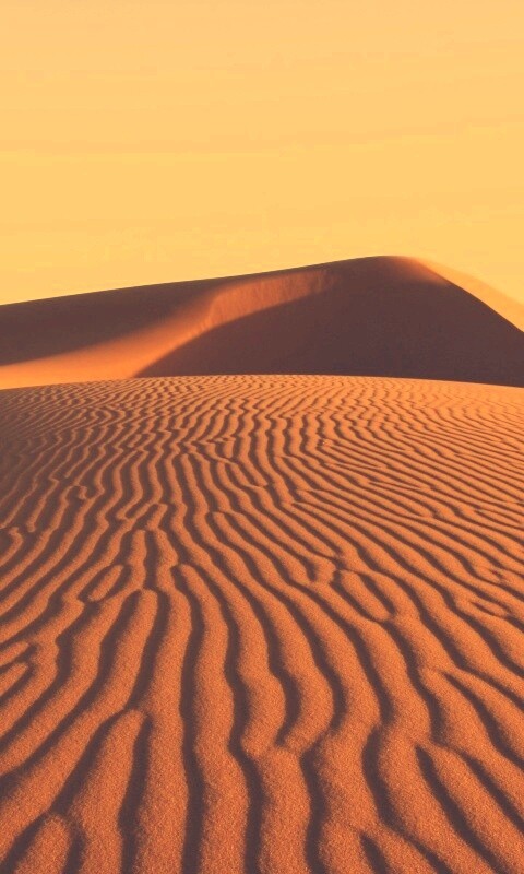 Красные барханы пустыни обои