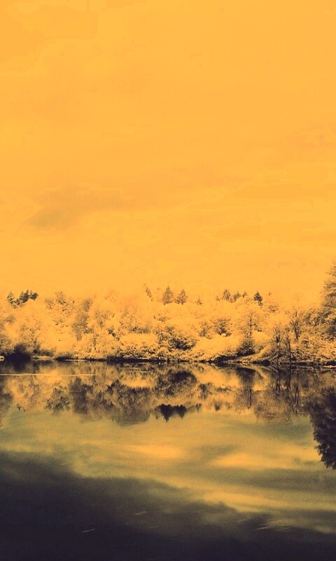 Зимний пейзаж обои