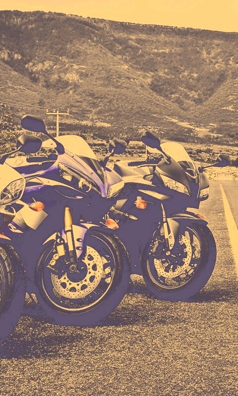 Раллийные мотоциклы на дороге обои