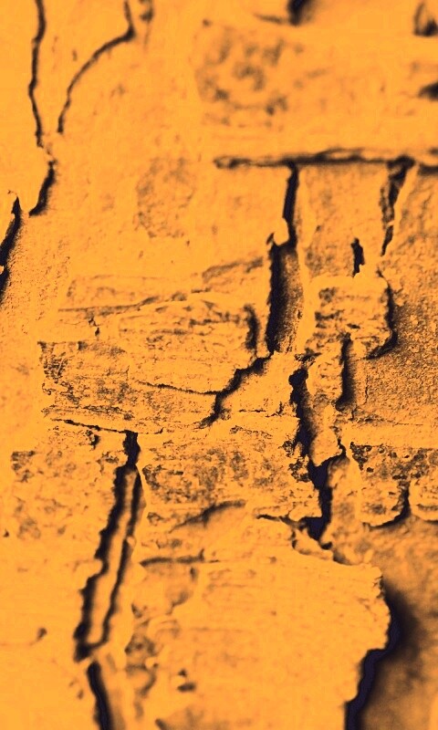 Белая кора обои