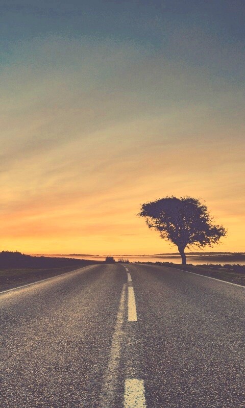 Дорога обои