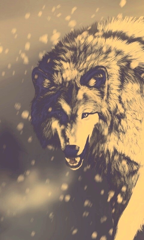 Охота на волка обои