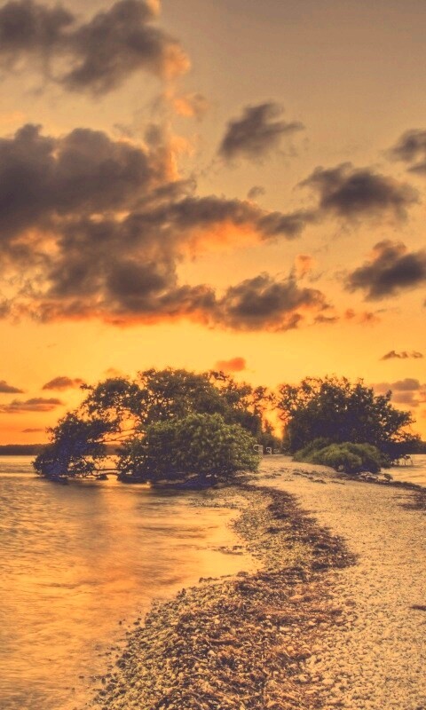 Побережье на закате обои