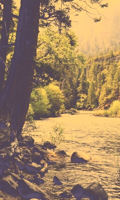 Национальный заповедник обои