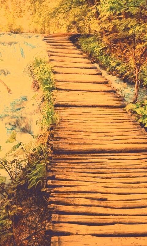 Деревянная дорожка над ручьем обои