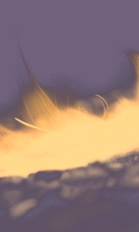 Вспышка обои