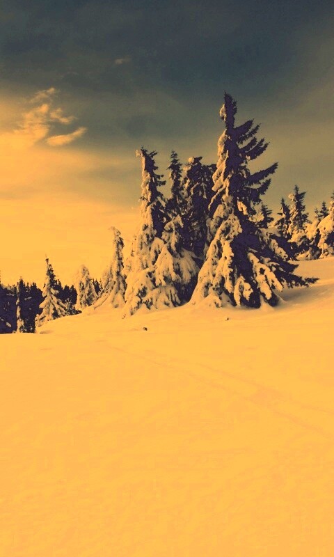 Зимние просторы обои