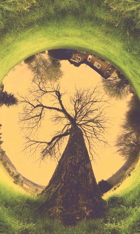 Другой взгляд на мир обои