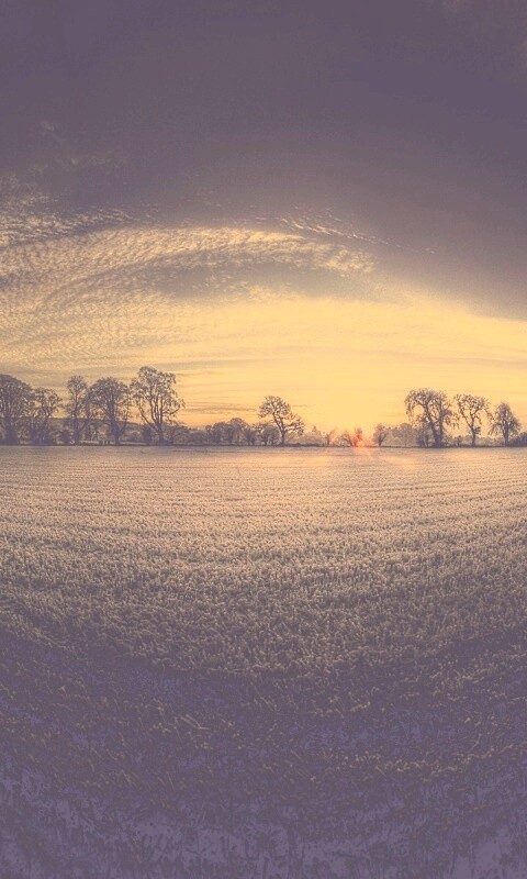 Поле широкоугольным объективом обои