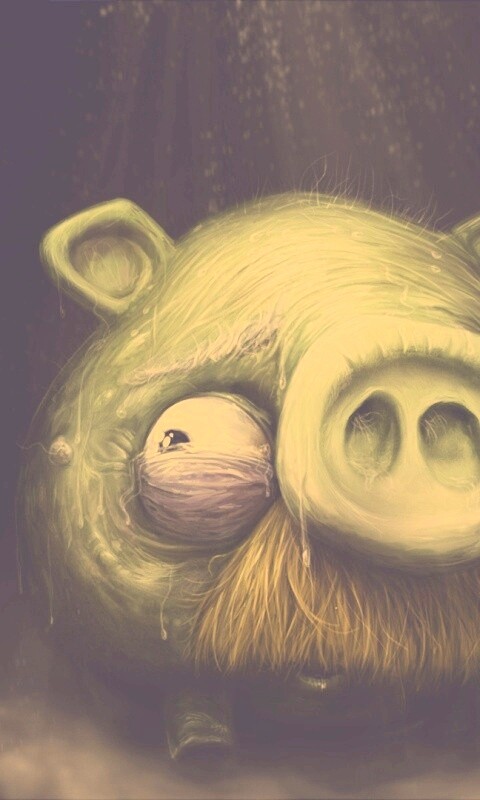 Свинья из Angry Birds обои