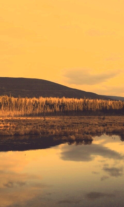 Осеннее озеро обои