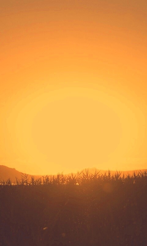 Сельский закат обои