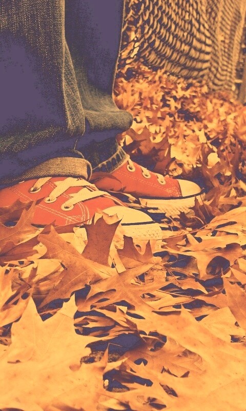 Оранжевые кеды обои