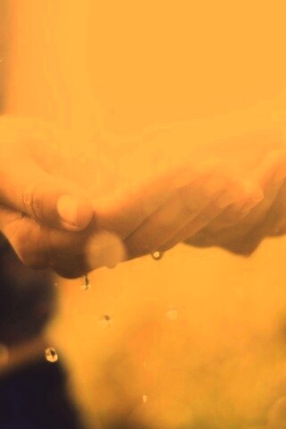 Дождь в ладонях обои