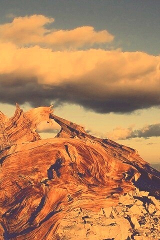 Прелести природы обои