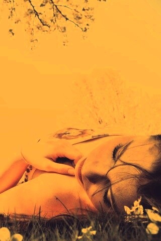 На природе обои