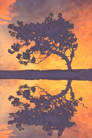 Зеркальное озеро обои