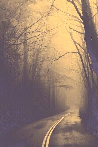 В туман обои