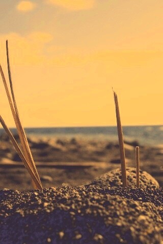 Солома на океанском берегу обои