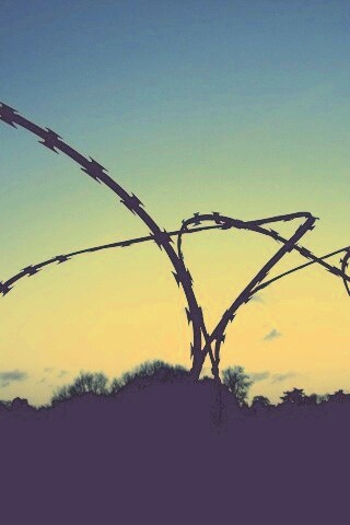 Колючая проволка обои