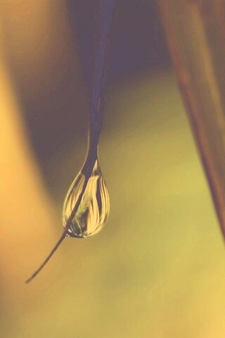 Стекающая капля обои