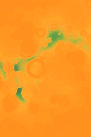 Белые круги и блики обои