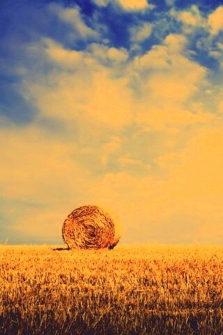 СОломеннынй рулон обои