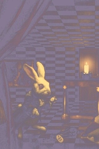 Алиса и белый кролик обои