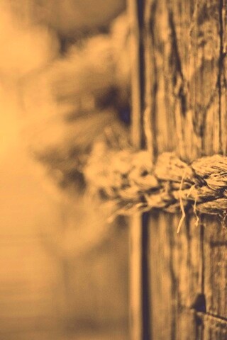 Веревка на деревянном столбе обои