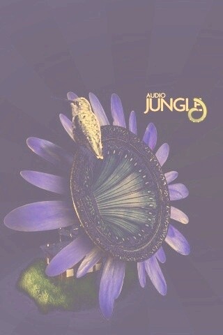 Звуки джунглей обои