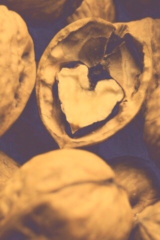 Расколотый орех обои