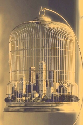 Город в клетке обои