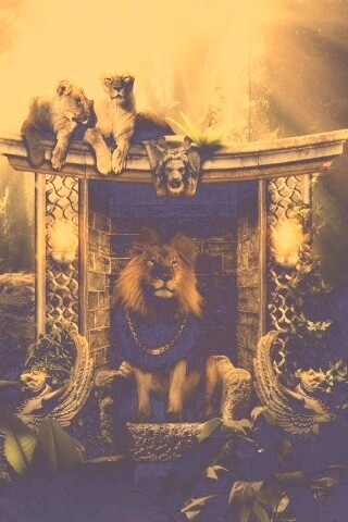 Царь зверей обои
