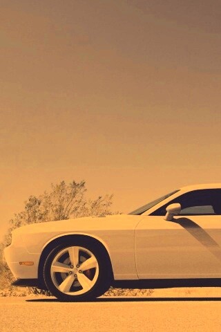 Стартующий Форд Мустанг обои