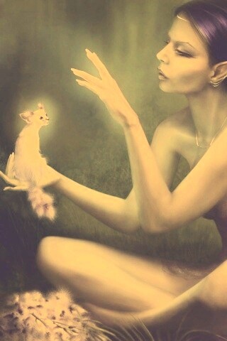 Почет и процветание обои