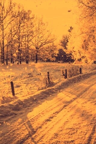 Снежная дорога залитая солнцем обои