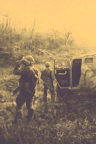 Солдаты из сталкера на болоте обои