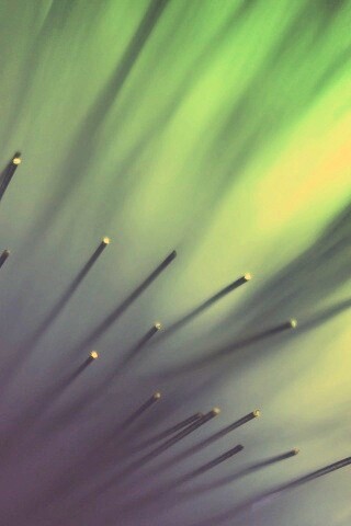 Световоды в рассеяном свете обои