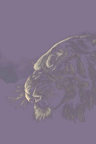 Рисунок грозного тигра обои