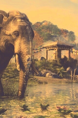 Слоники у воды обои