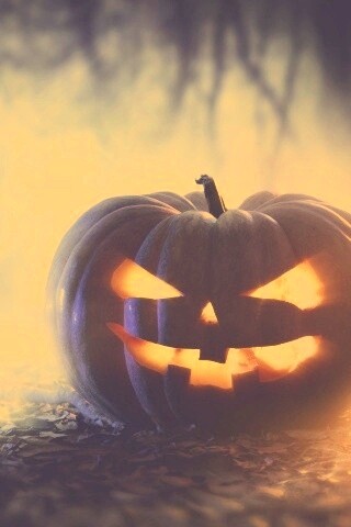 Хэллоуинская тыква обои