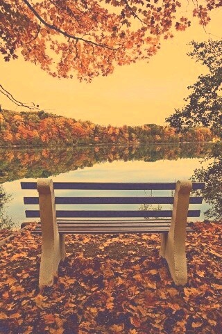 Вид на осеннее озеро обои