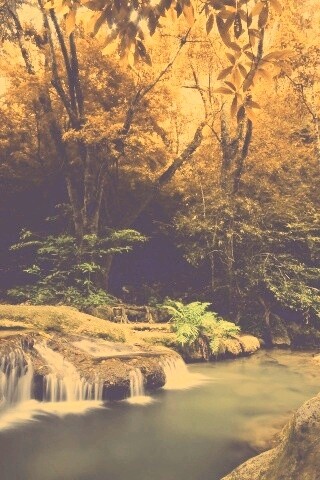 Водопадик в осеннем лесу обои