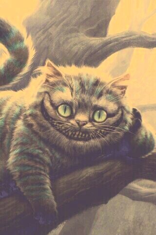 Чеширский кот обои